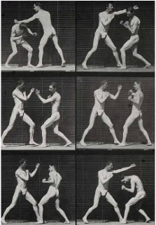 Muybridge 2024-04-03_15-36-21