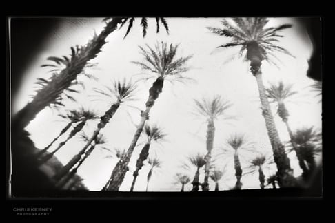 mexicanon-pinhole-photography-paper-negative