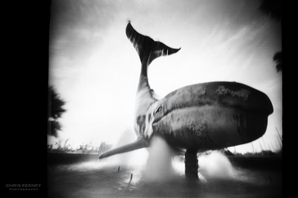 pinholga-120-film-pinhole-whalespring